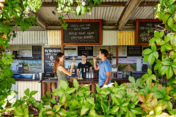 Swan Valley Wine Cruise from Perth: Taste, Cruise, and Return
