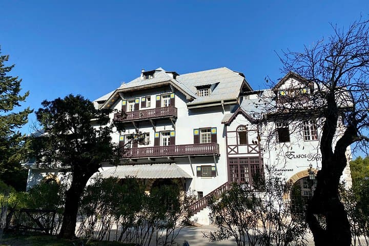 Hike Salakos to Profitis Ilias — 7.5 km Forest Trail to a Ridge Viewpoint photo 3
