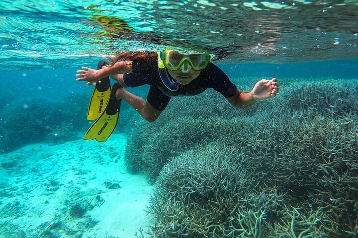 Blue Bay & Mahebourg: Full-Day East Mauritius Snorkel, History & Market Tour