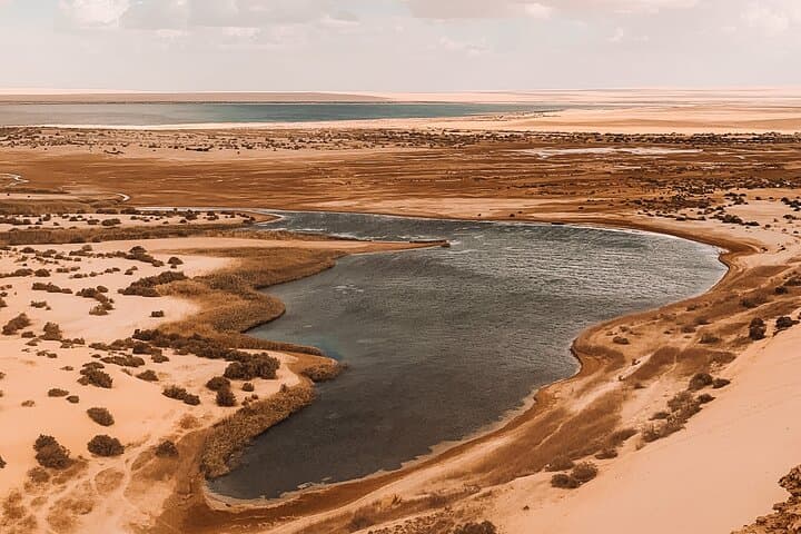 Day Tour to El Fayoum from Cairo — Wadi Hitan, Rayan Waterfalls & Medinet Madi photo 5
