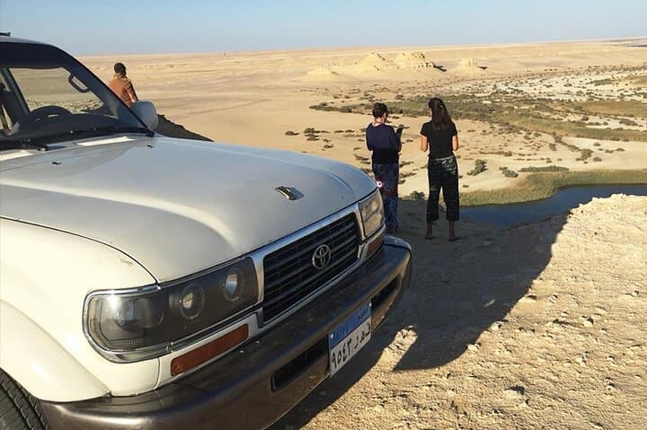 Day Tour to El Fayoum from Cairo — Wadi Hitan, Rayan Waterfalls & Medinet Madi photo 6