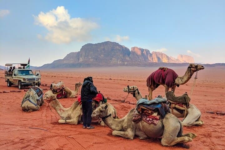 8-Day Private Pilgrimage from Amman — Madaba, Mount Nebo, Dead Sea & Historic Jerash photo 3