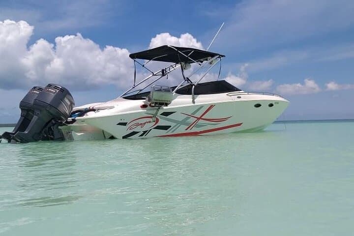 Private Saona Island Speed Boat Tour from Bayahibe — Luxury Day Trip photo 4