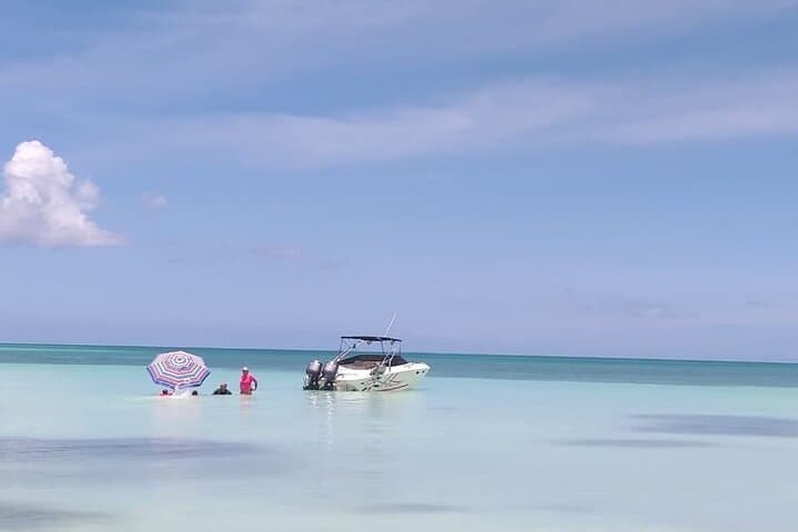 Private Saona Island Speed Boat Tour from Bayahibe — Luxury Day Trip photo 5