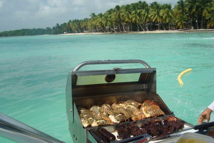 Private Saona Island Speed Boat Tour from Bayahibe — Luxury Day Trip photo 6