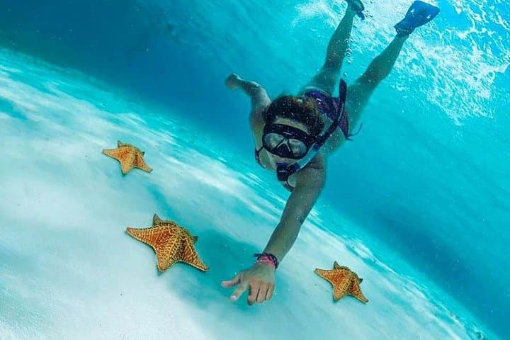 Cielito Cozumel: Palancar, Colombia & El Cielo Snorkel Tour