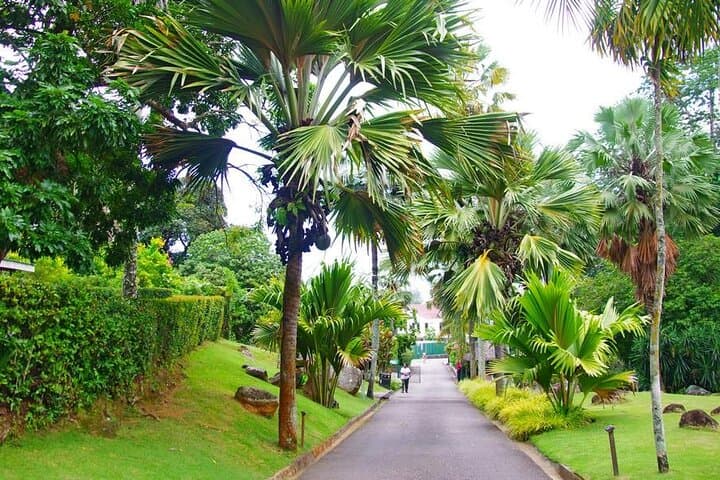 Private Mahe Full-Day Island Tour: Beaches, Waterfalls & Rum Tasting photo 4