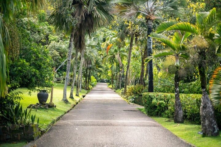 Private Mahe Full-Day Island Tour: Beaches, Waterfalls & Rum Tasting photo 5