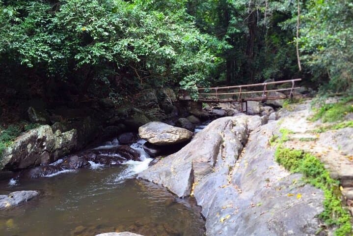 Pala-U Waterfall Day Trip from Hua Hin: Kaeng Krachan Jungle with Private Guide photo 4