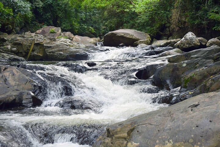Pala-U Waterfall Day Trip from Hua Hin: Kaeng Krachan Jungle with Private Guide photo 5