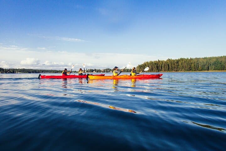 Paddle Around Vaxholm: Archipelago Kayak Day with Fika photo 2