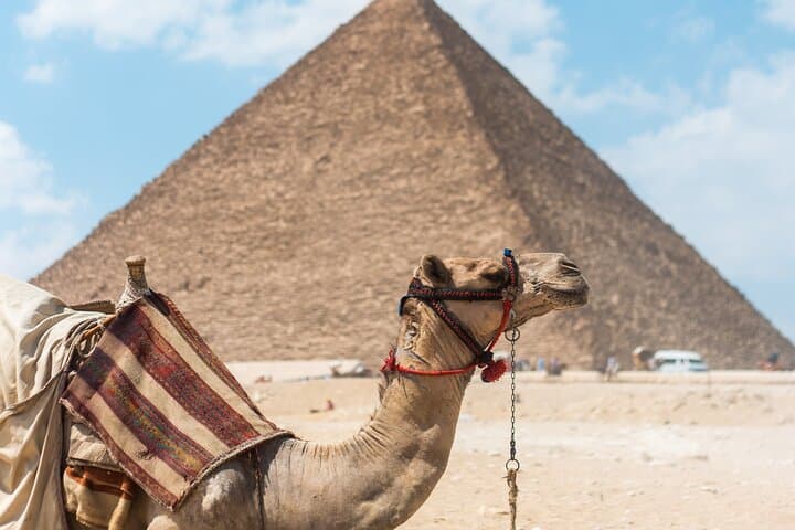 Sunrise Camel & Horse Ride Around the Giza Pyramids photo 5