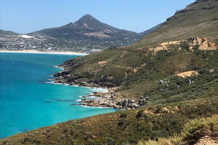 Magnificent Cape Peninsula Private Tour — Cape Point, Chapman's Peak & Boulders Beach photo 3