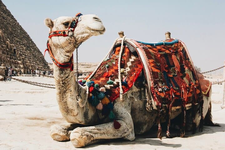 Camel Ride at the Giza Pyramids: Classic Desert Tour from Cairo photo 4
