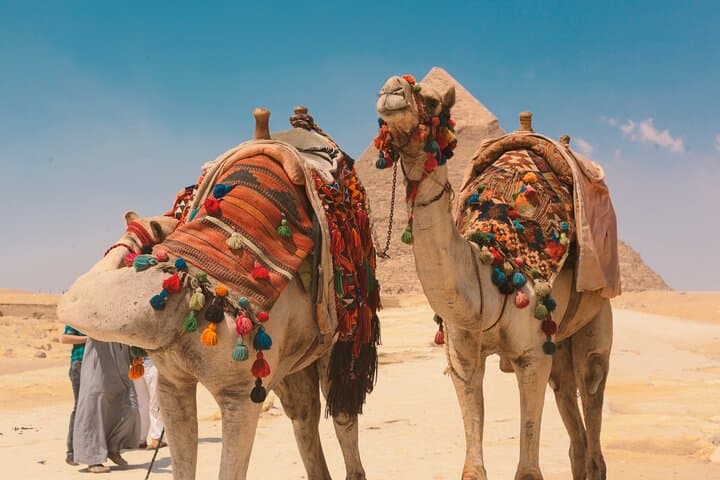 Camel Ride at the Giza Pyramids: Classic Desert Tour from Cairo photo 5