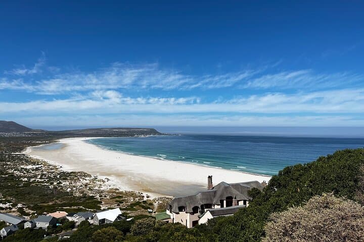 Magnificent Cape Peninsula Private Tour — Cape Point, Chapman's Peak & Boulders Beach photo 6