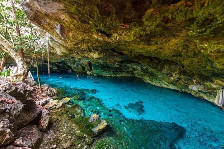 Tulum Ruins, Cenotes & Madre Naturaleza: Complete Day Tour Guide photo 6