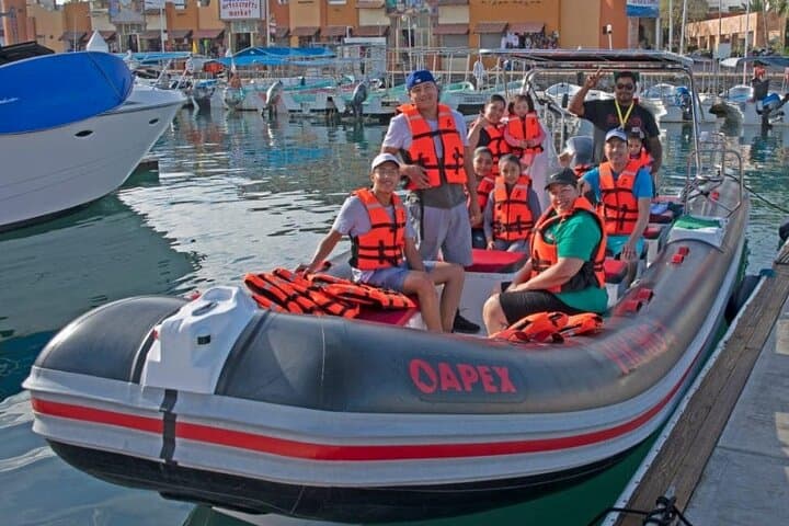 Cabo Whale-Watching and Reef Snorkel Combo: Morning with Humpbacks and Tropical Fish photo 6