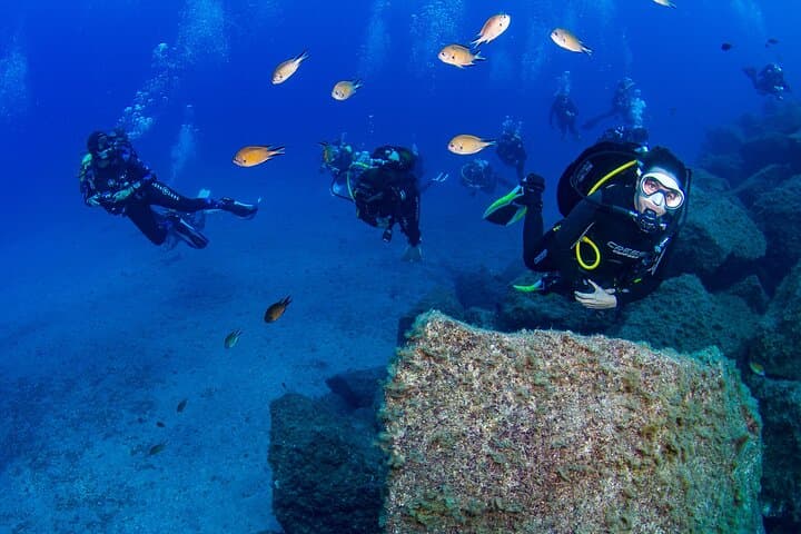 Radazul Bay Guided Scuba Immersion from Santa Cruz de Tenerife photo 3