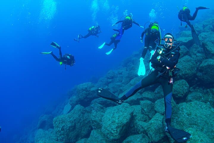Radazul Bay Guided Scuba Immersion from Santa Cruz de Tenerife photo 4