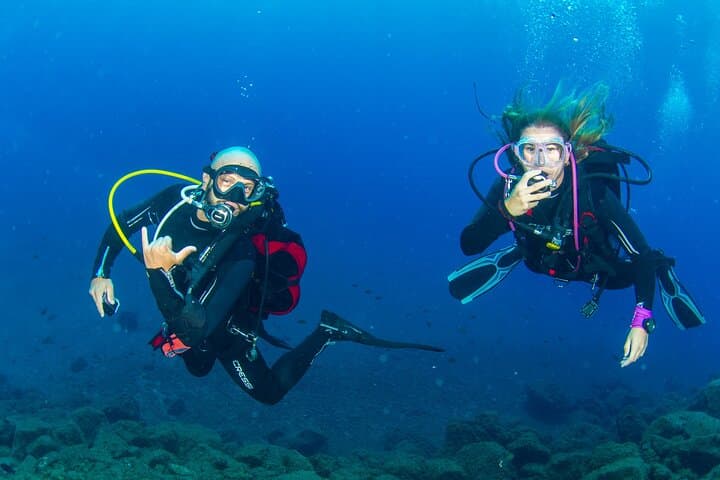 Radazul Bay Guided Scuba Immersion from Santa Cruz de Tenerife photo 5