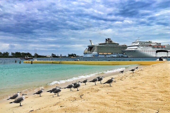 Miami to Fort Lauderdale and Palm Beach Day Tour — Beaches, Lion Country Safari & Flagler Museum photo 4