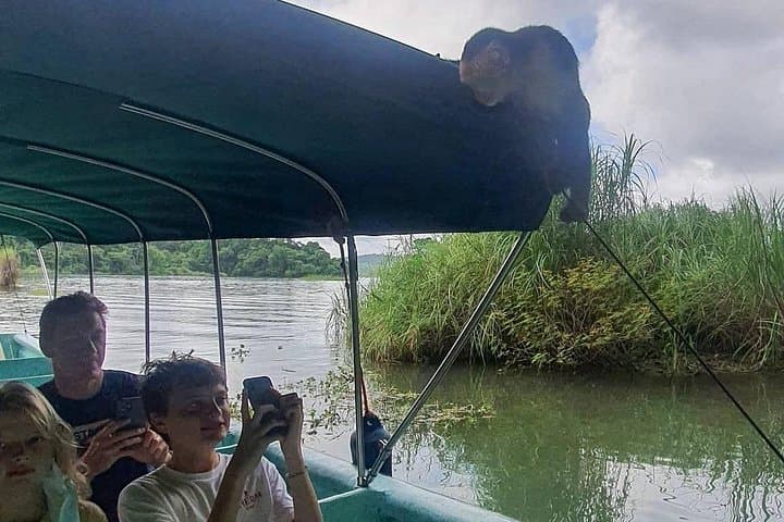 Monkey Island & Soberania Nature Walk: Gatun Lake Boat Tour from Gamboa photo 3