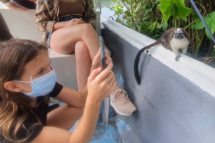 Monkey Island & Soberania Nature Walk: Gatun Lake Boat Tour from Gamboa photo 4