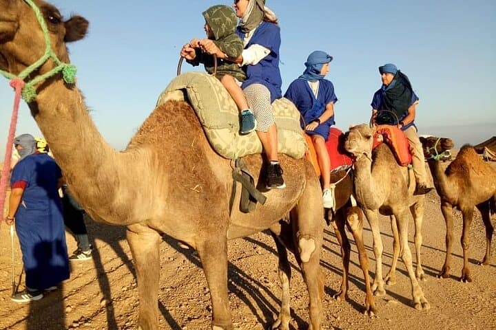 Marrakech Palmeraie Camel Ride: Hour-Long Trek Through the Palm Groves photo 6