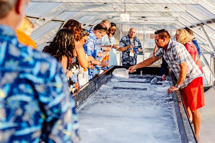 Kona Deep-Ocean Salt Farm Tour: Hands-On Hawaiian Paʻakai Experience photo 3