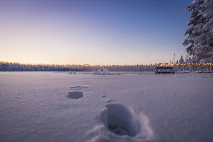 Ultimate Lappish Adventure: Ranua Wildlife, Sauna & Arctic Ice Floating (Full Day) photo 5