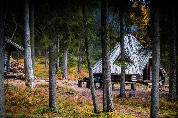 Ultimate Lappish Adventure: Ranua Wildlife, Sauna & Arctic Ice Floating (Full Day) photo 6
