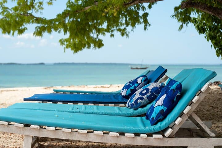 Safari Blue Kwale Island Day Trip: Snorkel Dolphins & Seafood in Menai Bay photo 5