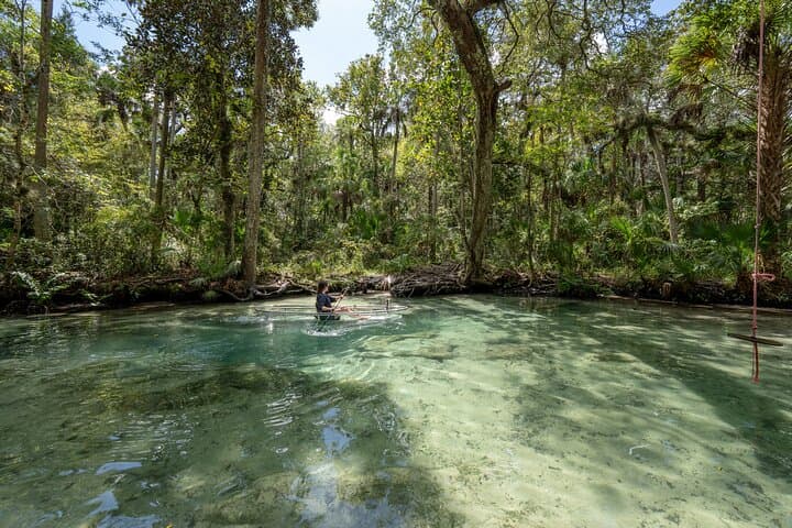 Chassahowitzka River Clear Kayak: Springs, Manatees & Hidden Creeks photo 6