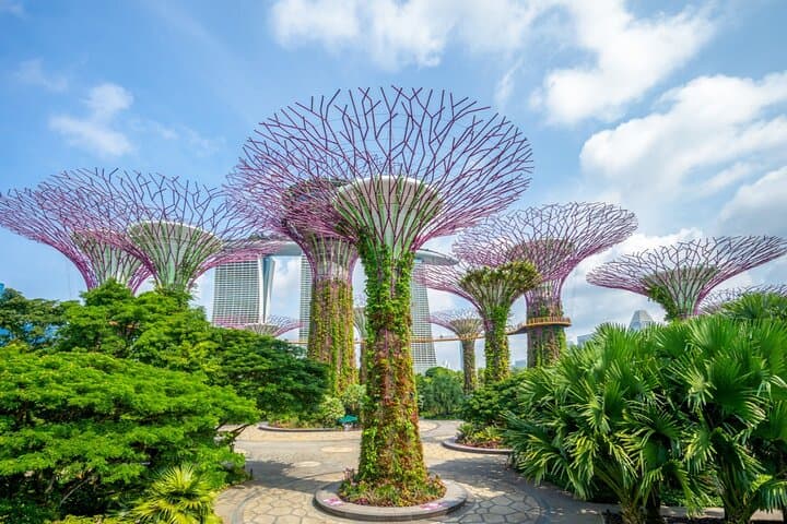 Time Travel Singapore: Self-Guided Puzzle Adventure Through Botanic Gardens & WWII Sites photo 1