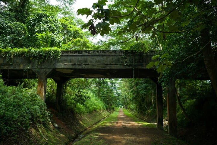 Time Travel Singapore: Self-Guided Puzzle Adventure Through Botanic Gardens & WWII Sites photo 4
