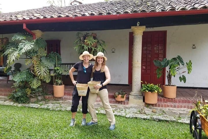 Hacienda Coloma Coffee Tour from Bogotá — Exclusive Farm Visit & Tasting photo 4