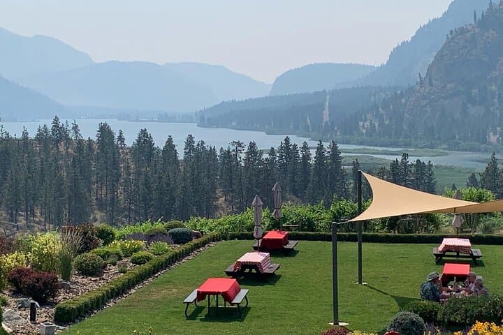 OK Falls Half-Day Wine Tour: Corkscrew Drive Tastings & Vineyard Views photo 3