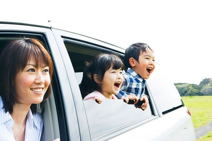 Door-to-Door Private Transfer: Anaheim to Los Angeles photo 3