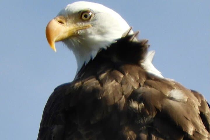 Private Birding Hike in Rocky Mountain National Park — Naturalist-Guided Wildlife Walk photo 4