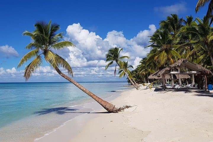 Saona Island Party Boat from Punta Cana — Lobster Lunch & Natural Pool photo 2