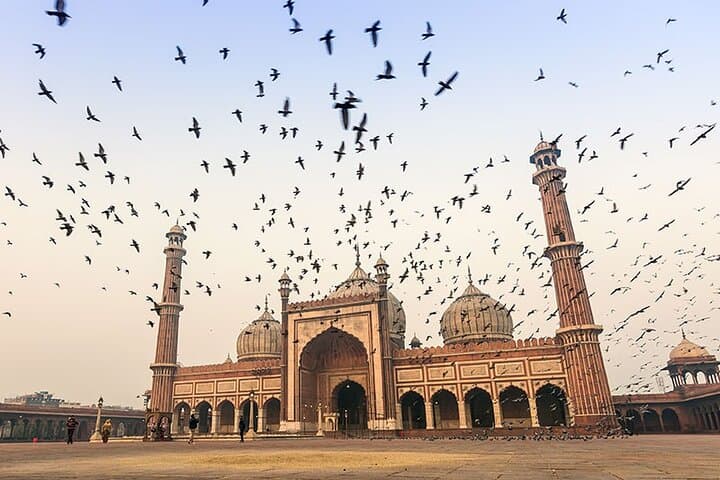 8-Day Private Luxury Tour: Taj Mahal & Royal Palaces of India photo 5