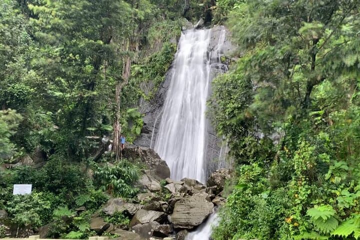 El Yunque National Forest & Luquillo Beach Tour — Rainforest Hike, Waterfalls and River Swim