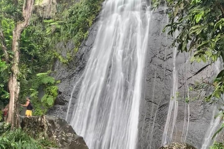 El Yunque National Forest & Luquillo Beach Tour — Rainforest Hike, Waterfalls and River Swim photo 2