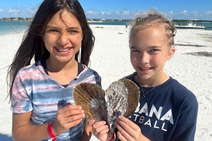 Shell the Ten Thousand Islands: Barrier Island Shelling Tour from Marco Island