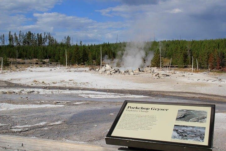 Yellowstone Lower Loop VIP Full-Day Tour: Old Faithful, Grand Prismatic & Canyon Highlights photo 5