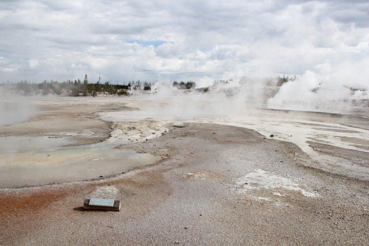 Yellowstone Lower Loop VIP Full-Day Tour: Old Faithful, Grand Prismatic & Canyon Highlights photo 3