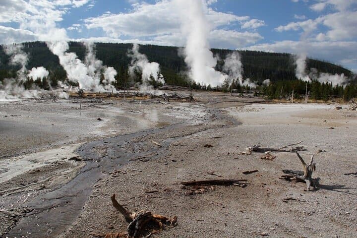 Yellowstone Lower Loop VIP Full-Day Tour: Old Faithful, Grand Prismatic & Canyon Highlights photo 2