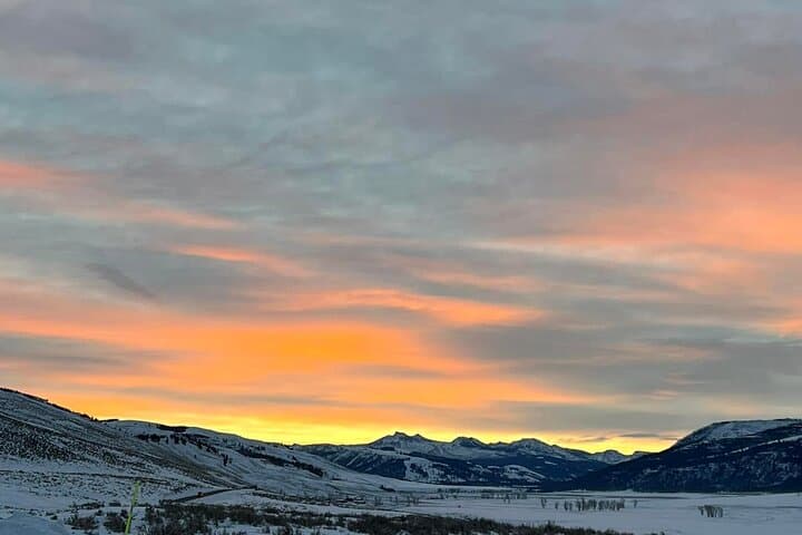 Yellowstone Full-Day Upper Loop Wildlife Tour from West Yellowstone photo 3