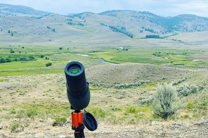 Yellowstone Full-Day Upper Loop Wildlife Tour from West Yellowstone photo 5